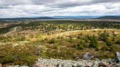 Landskapsbilde fra nord for Rena