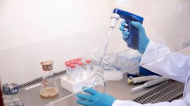 Hender holder i labutstyr