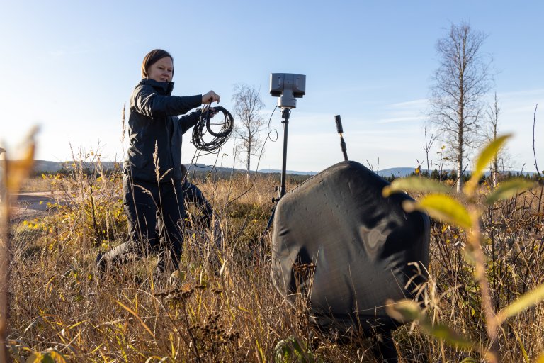 Katrine Mygland Dybwad i felt.