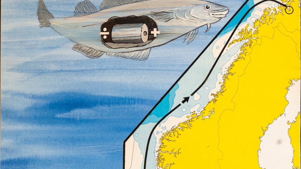 Tidlig på 1990-tallet utviklet FFI et sjøvannsbatteri som kunne drive en undervannsfarkost fra Oslo til Alta før batteriet gikk tomt.