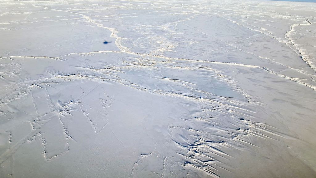 Helikopteret kaster bare en liten skygge over isødet i Beauforthavet, nord for Alaska. Havet er tilfrosset året rundt.