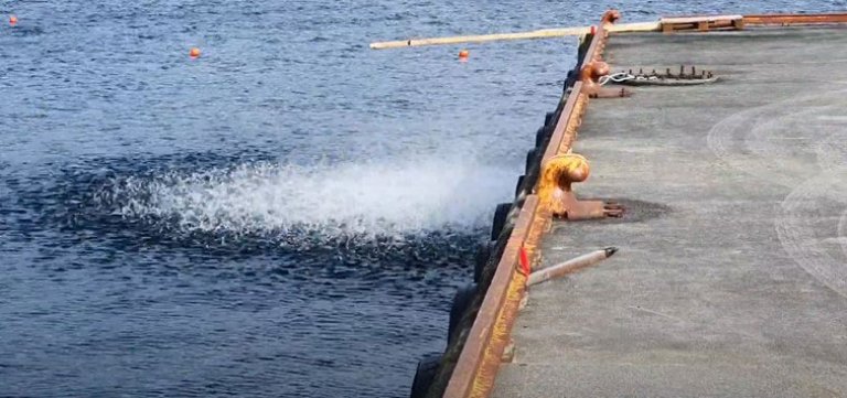 Sprenging ved ei brygge.
