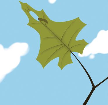 Illustrasjon av et grønt blad formet som et kampfly