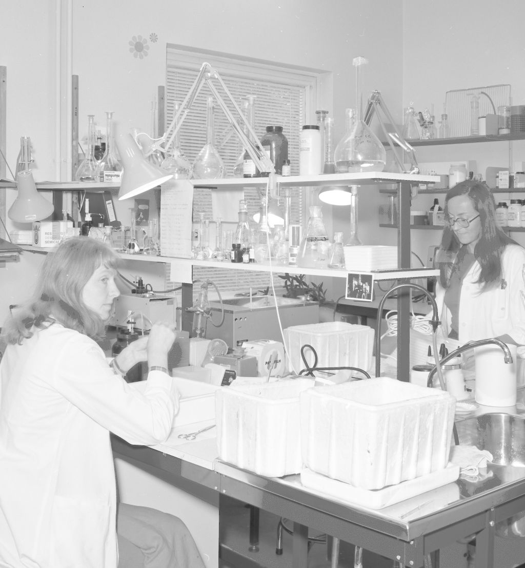Labben på avdeling toksiologi 1974