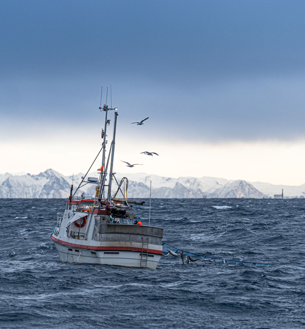Bilde av fiskeskøyte på havet et sted i Nord Norge. Snødekte fjell i bakgrunnen.